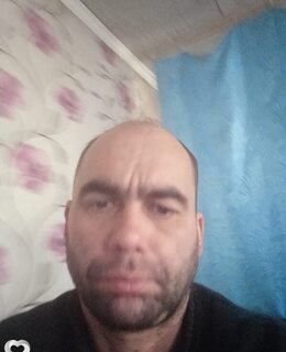 Вася